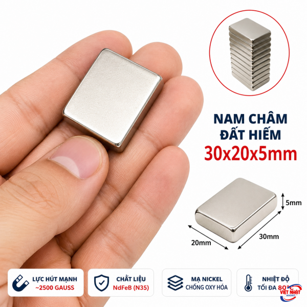 Nam châm viên 30x20x5mm