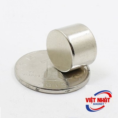 Nam châm viên 25x20mm
