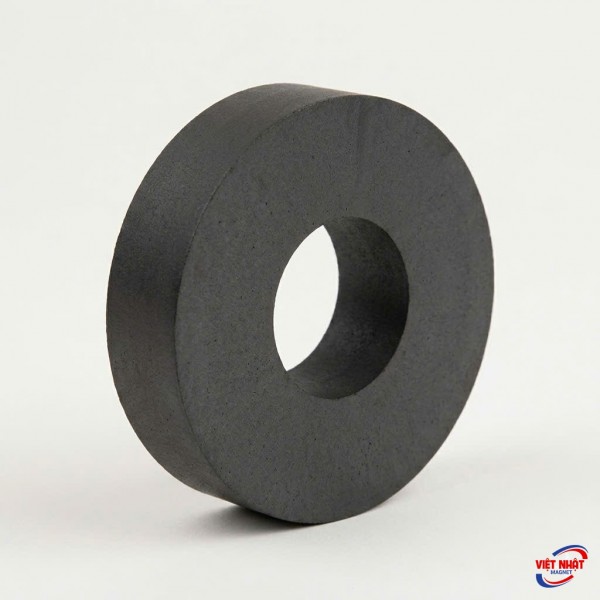 Nam châm ferrite 60x10 lỗ 32mm