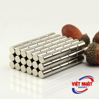 Nam châm viên 6x10mmmm