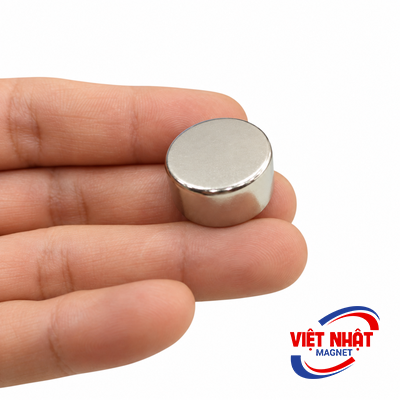 Nam châm viên 20x10mm